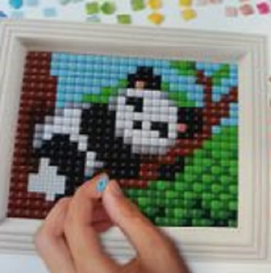 Pixel Hobby XL Panda Hobbypakket