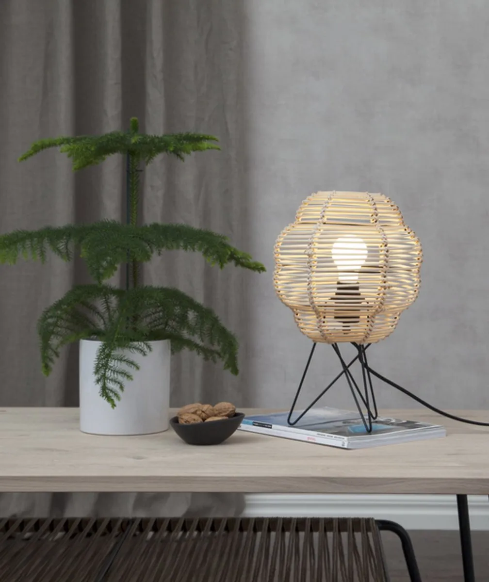 Star Trading 350-31 LED-lamp Warm Wit Mat - 1.5W E27