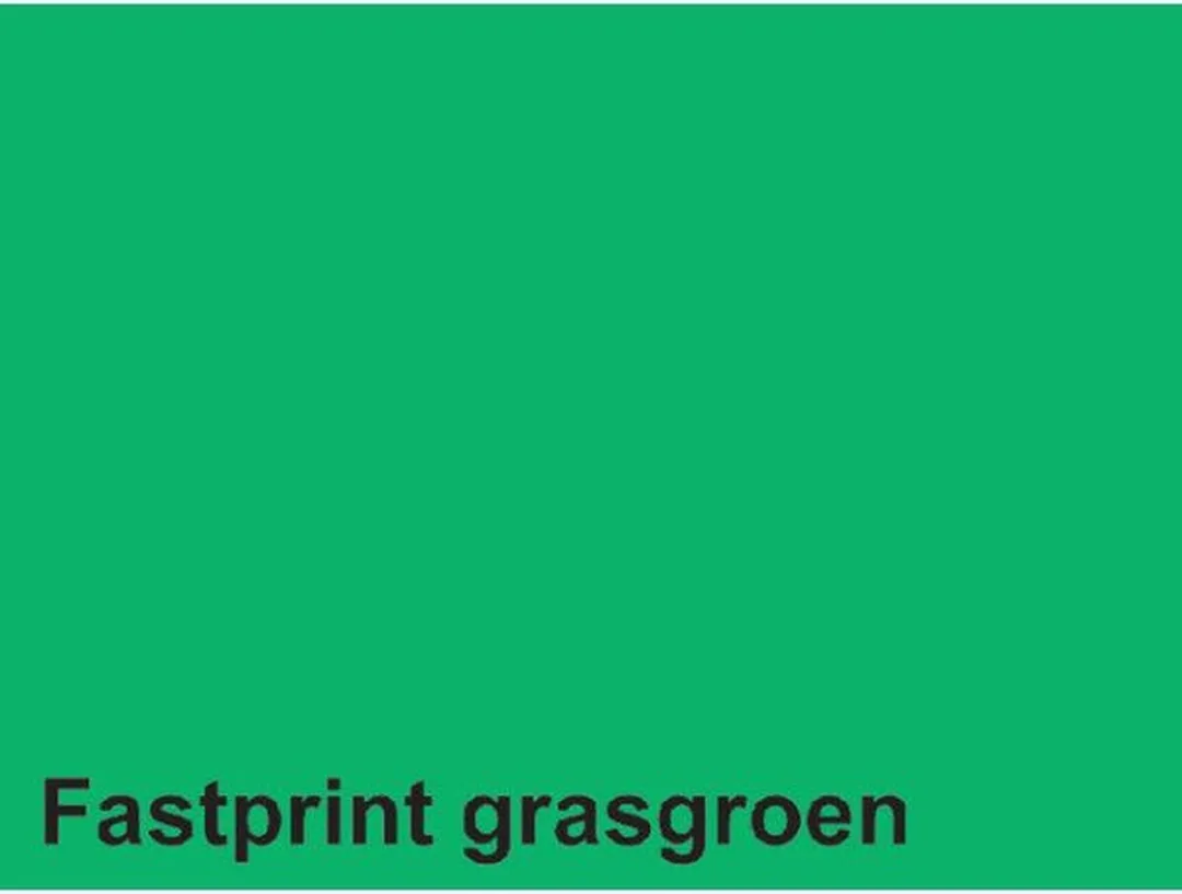Quantore Gekleurd Papier A4 160gr Grasgroen 250 Vel