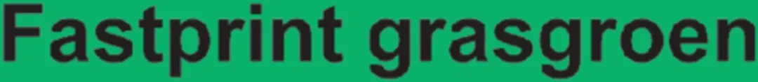 Quantore Gekleurd Papier A4 160gr Grasgroen 250 Vel