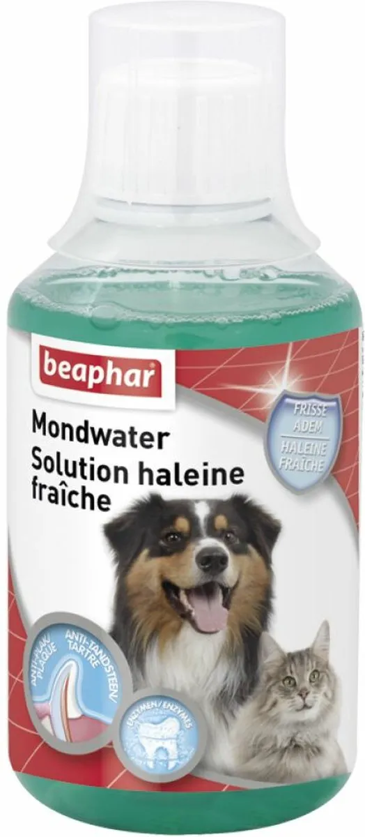 Beaphar Mondwater Hond/Kat 250ml - 3 Stuks