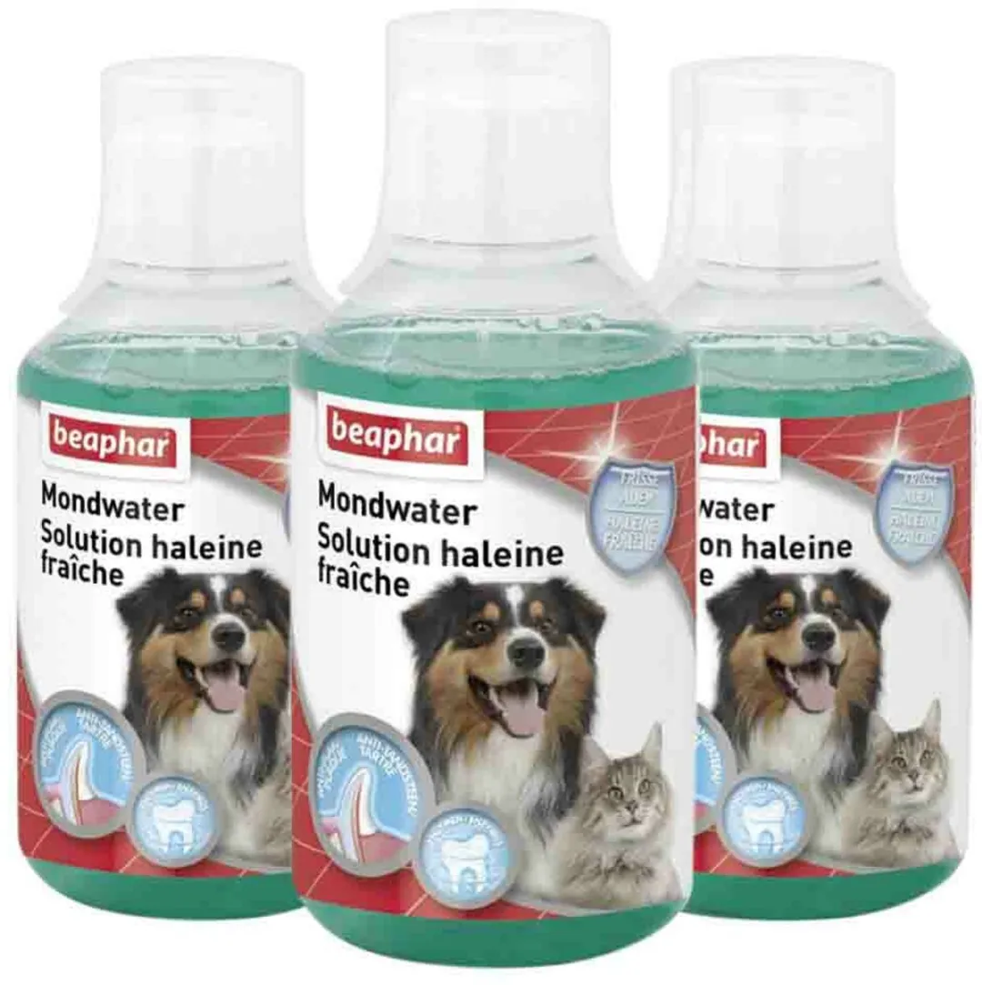 Beaphar Mondwater Hond/Kat 250ml - 3 Stuks