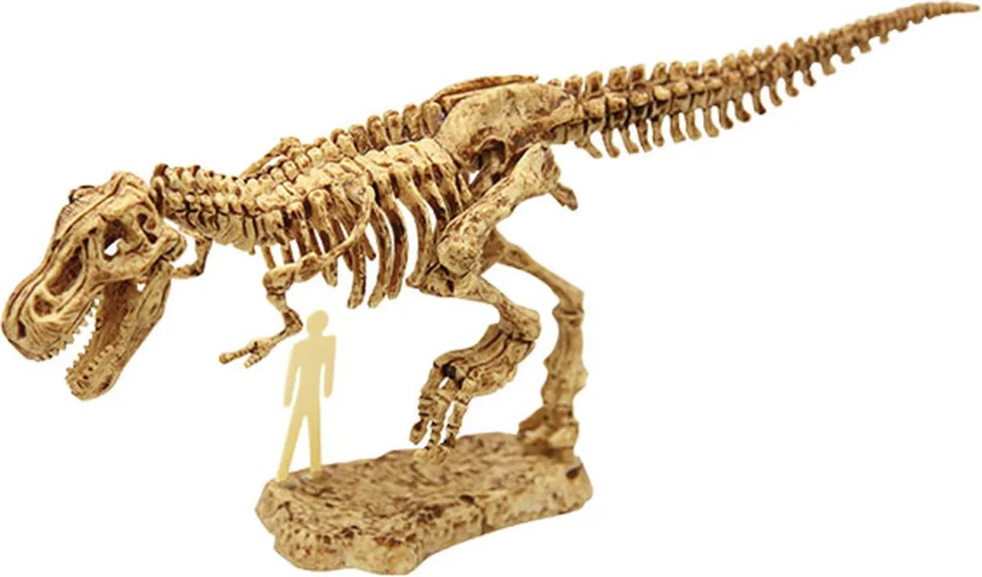 Eurekakids Dinosaurus Opgravingsset T-Rex Skelet - Wit/Bruin