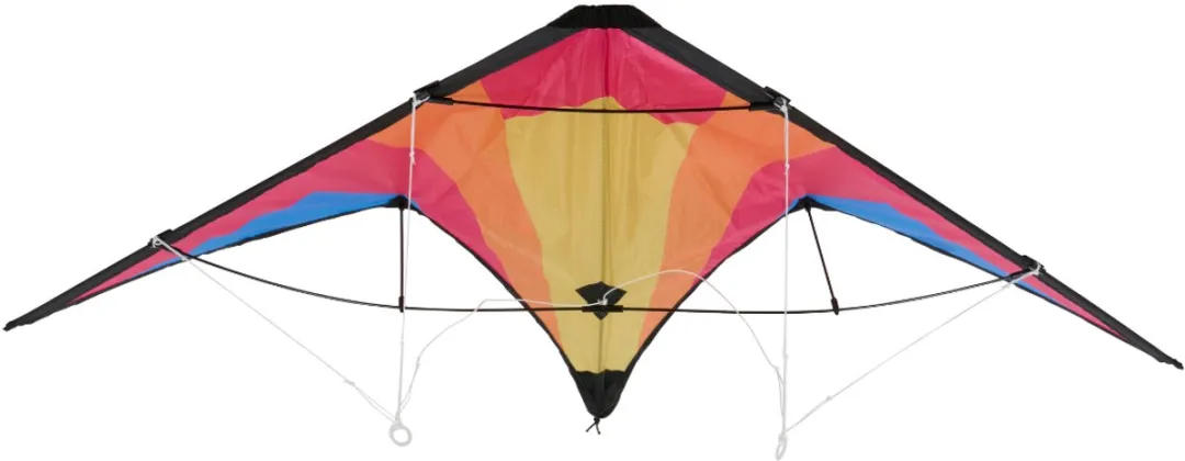 Eddy Toys Stuntvlieger 2 Lijnen - 120x60cm - Meerkleurig