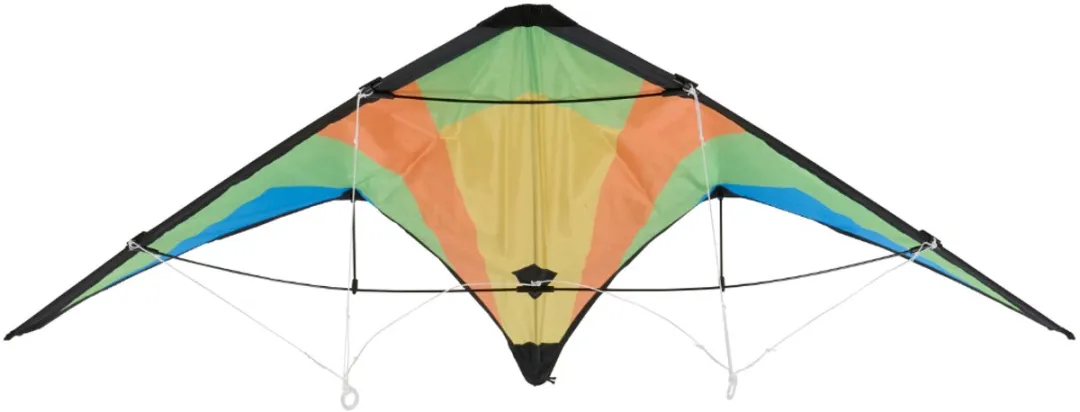Eddy Toys Stuntvlieger 2 Lijnen - 120x60cm - Meerkleurig