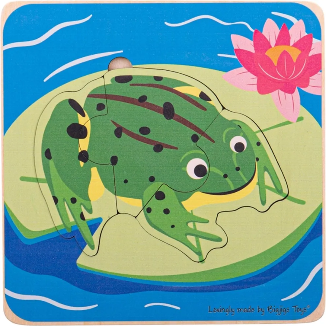 BIGJIGS Levenscyclus Puzzel Kikker 1000 Stuks - Multicolor