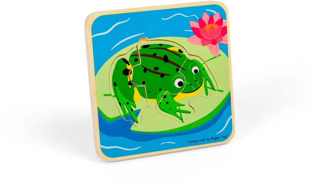 BIGJIGS Levenscyclus Puzzel Kikker 1000 Stuks - Multicolor