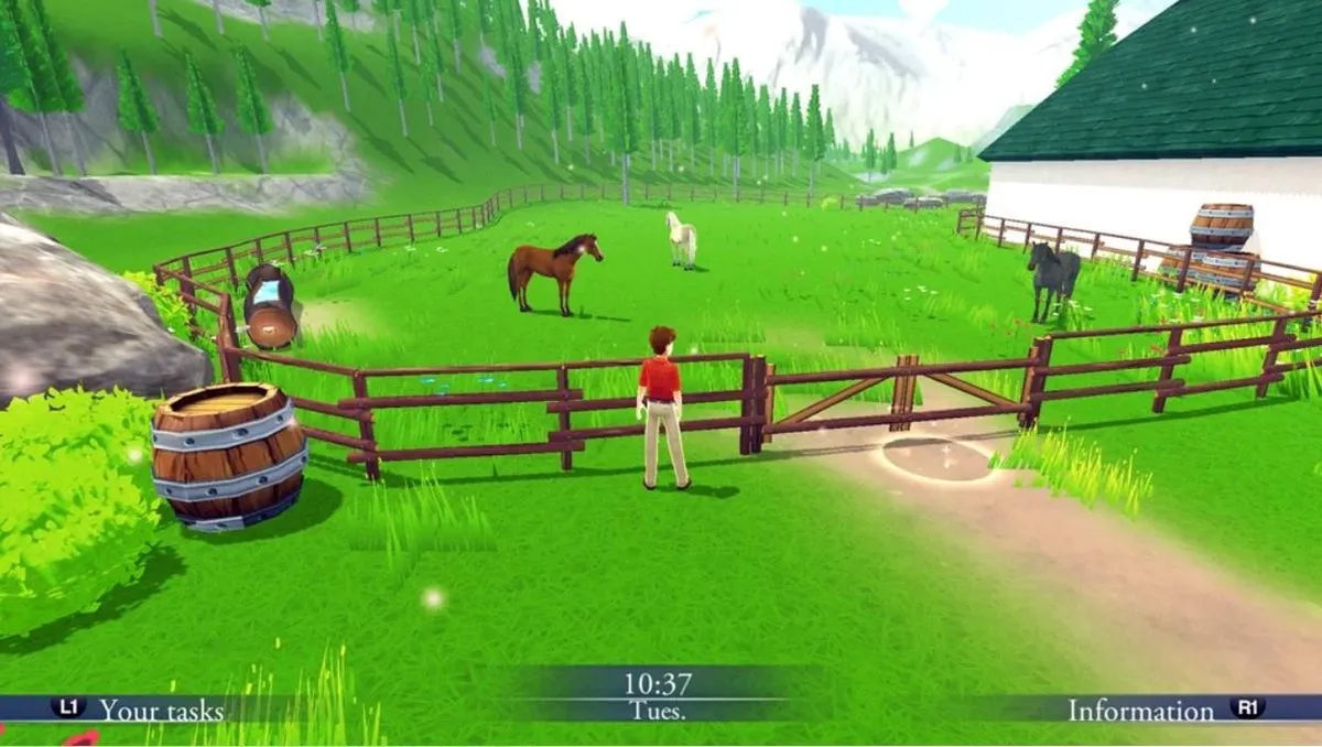 Mindscape Mijn Paardenwereld Nintendo Switch Code in a Box