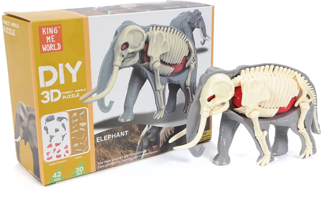 PIA Soft Toys 3D Anatomie Olifant