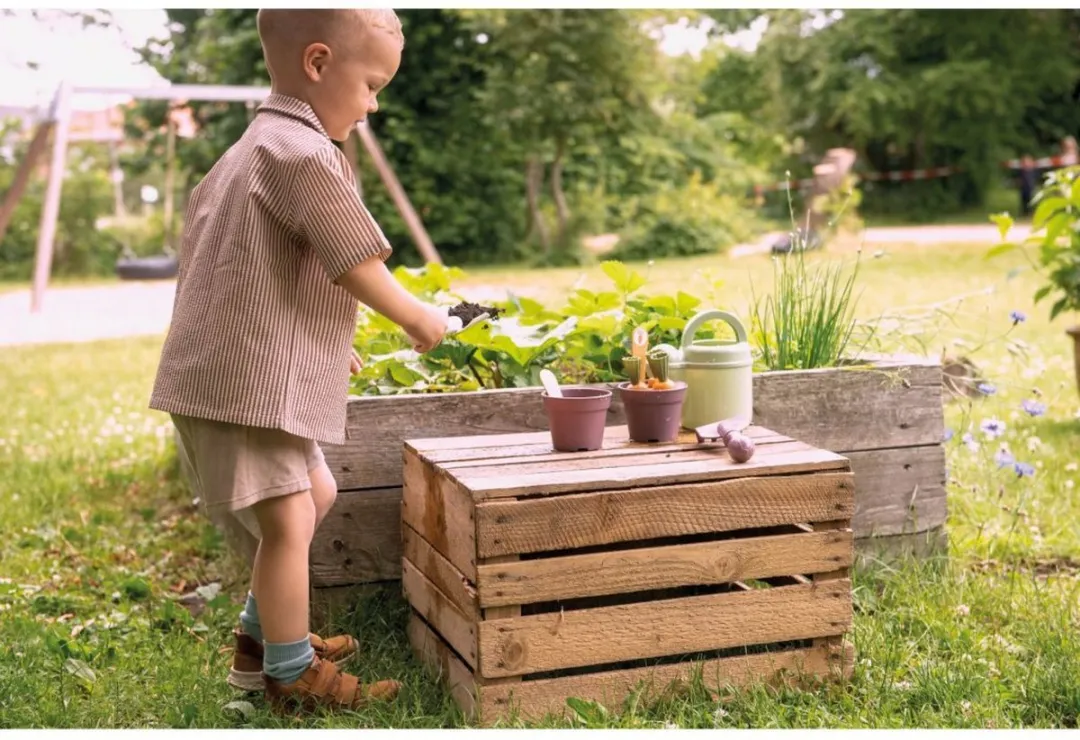 Dantoy BIO Plantenset Green Garden 4714