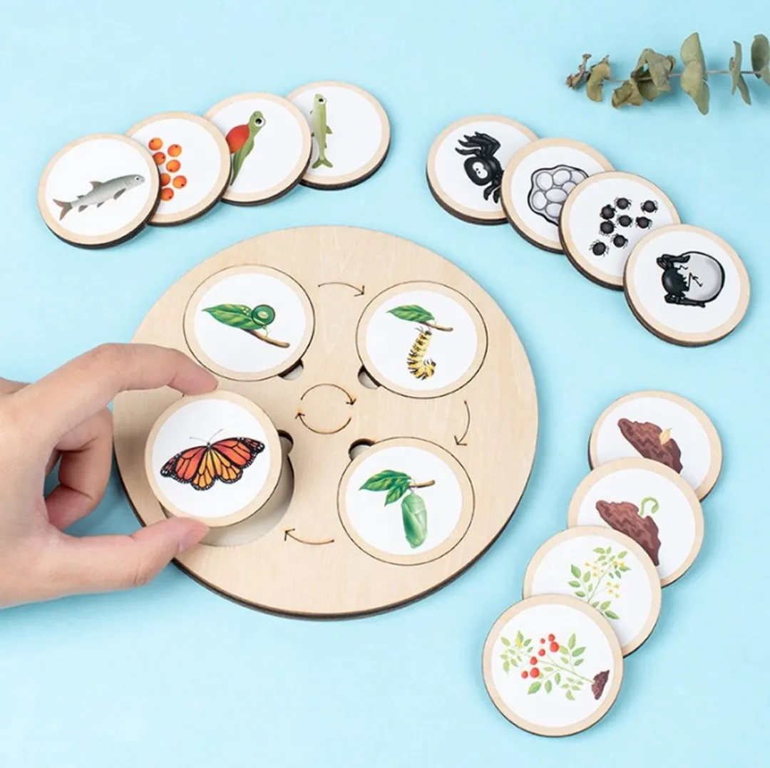 LiasToys Levenscycles Montessori Bordspel - 40 Stickers & Houten Rondjes