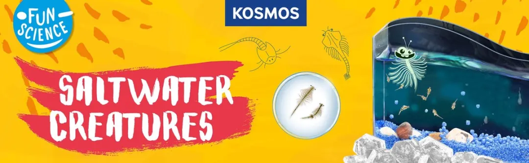Kosmos Saltwater Creatures Experimenteerset 617158 - Fun Science