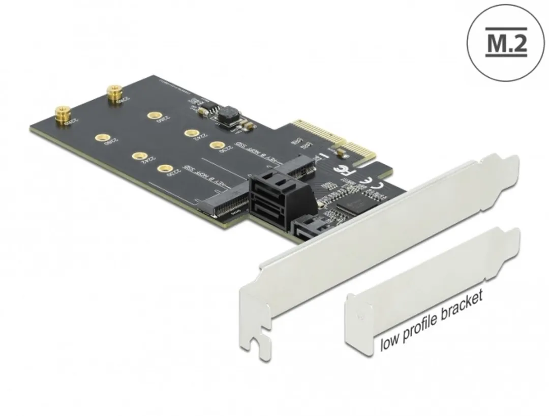 Delock 90499 PCIe Kaart 3x SATA 2x M.2 Key B