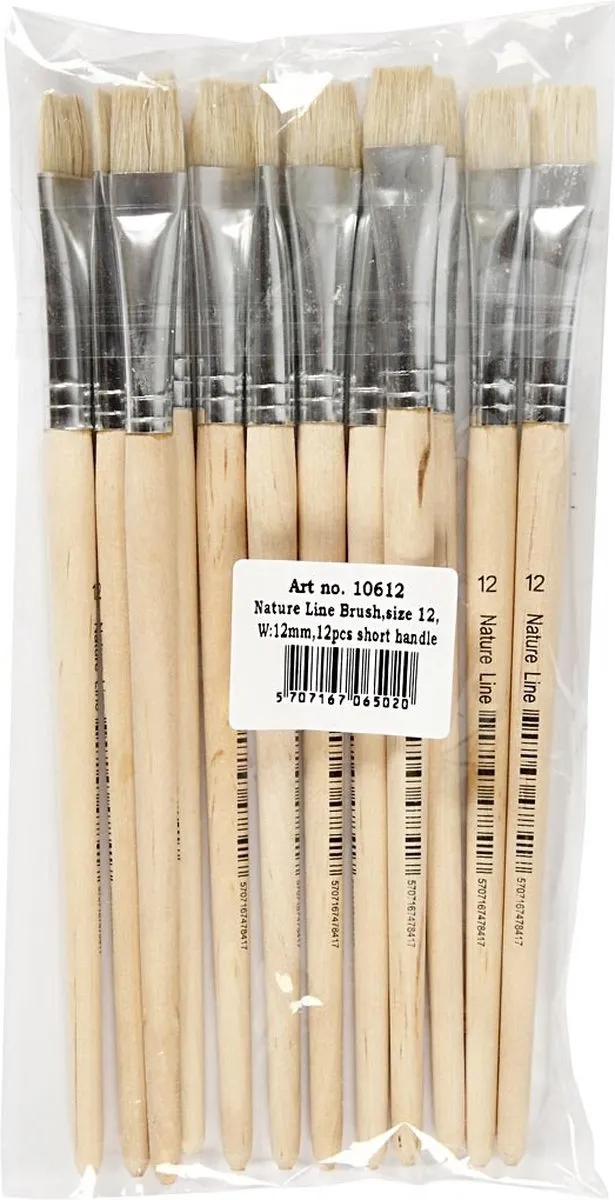 Creativ Company Creotime Platte Kwasten 12 Stuks