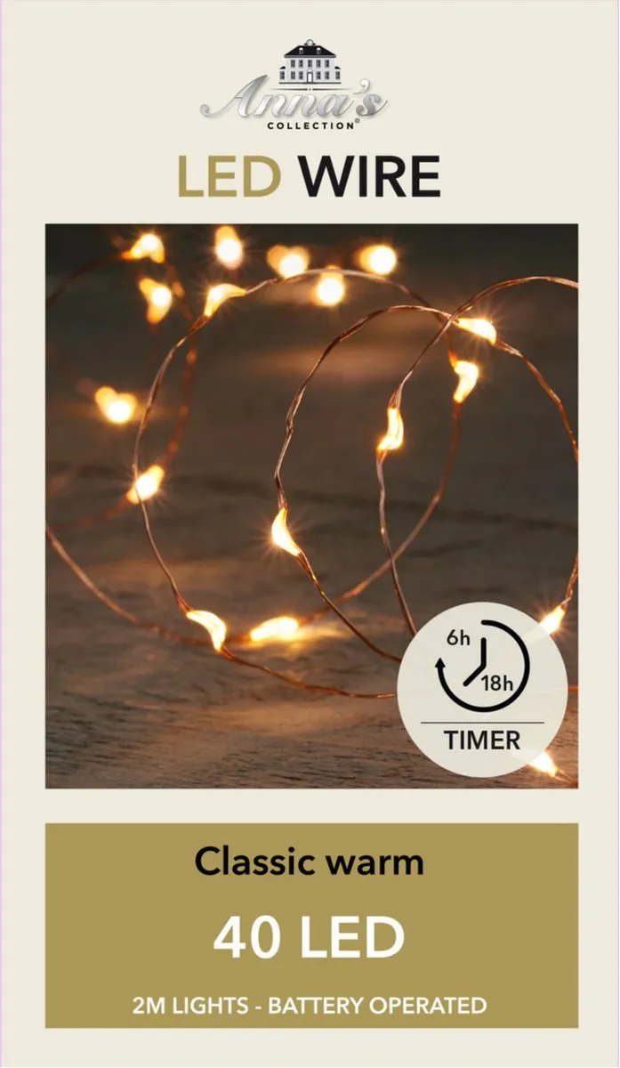 Anna's Collection Draadverlichting Koper 100 LED Warm Wit 200cm