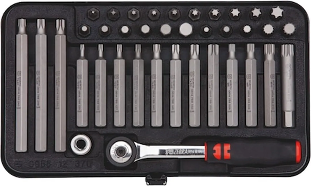 Würth Bitassortiment 10mm 38-delig met ratel