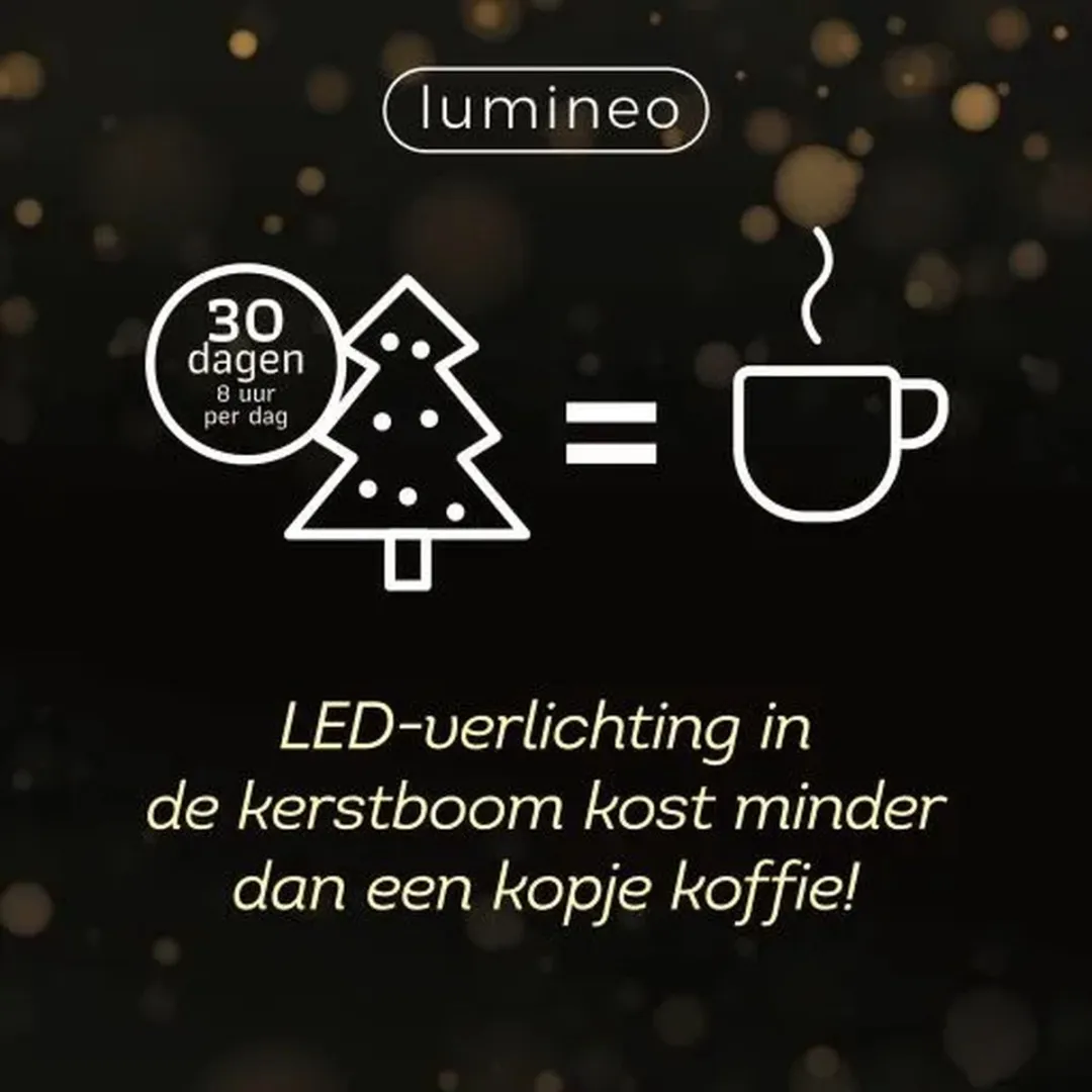 Lumineo Compact Rice Lights 480 Stuks 34m Warm Wit - afbeelding 6 van 6