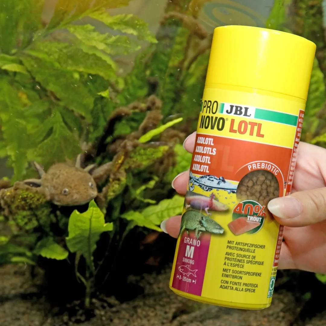 JBL Pronovo Lotl Grano M Axolotlvoer 250ml