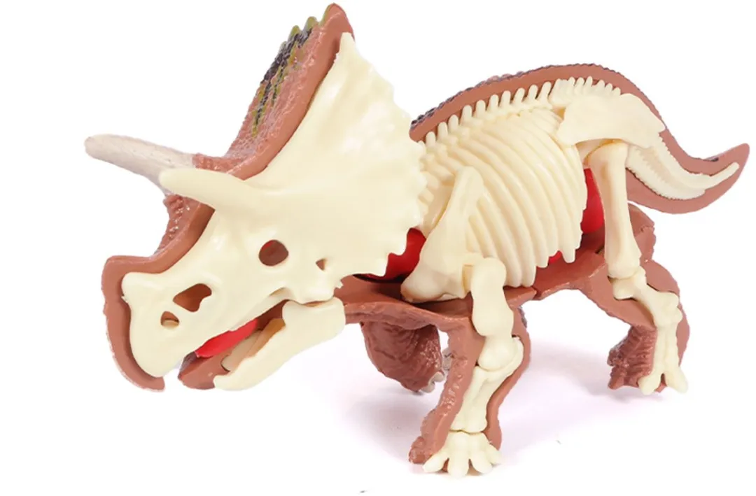 PIA Soft Toys Dino 3D Anatomie Triceratops - 3D Model