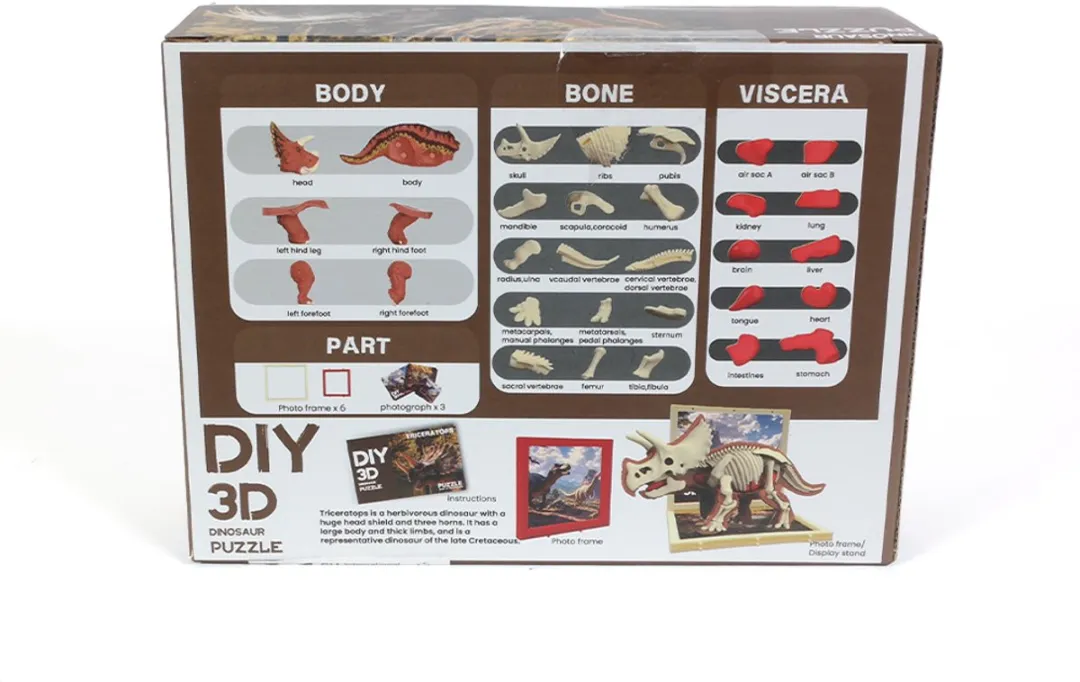 PIA Soft Toys Dino 3D Anatomie Triceratops - 3D Model