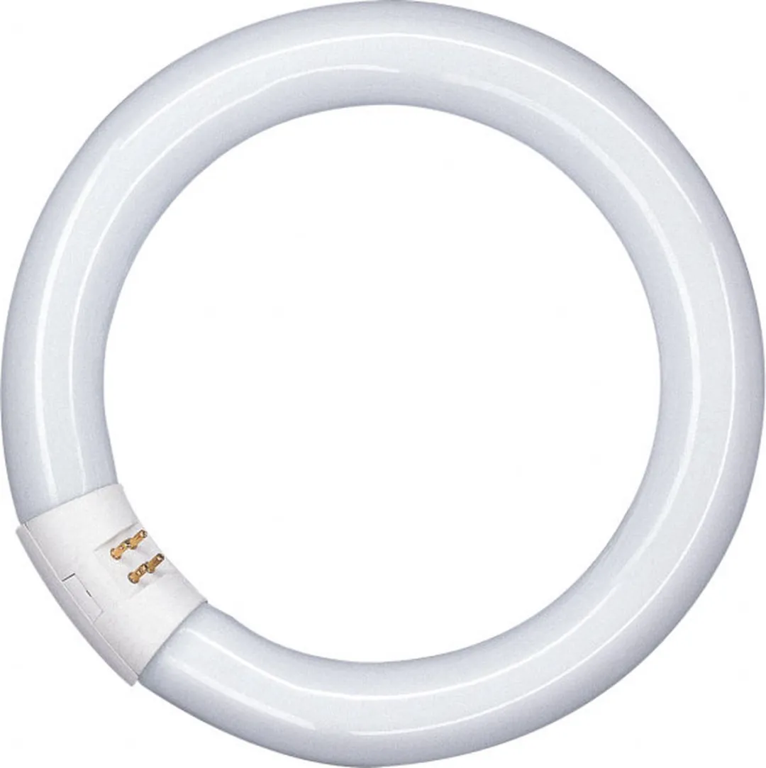 Osram Lumilux Circular T9 22W 6500K