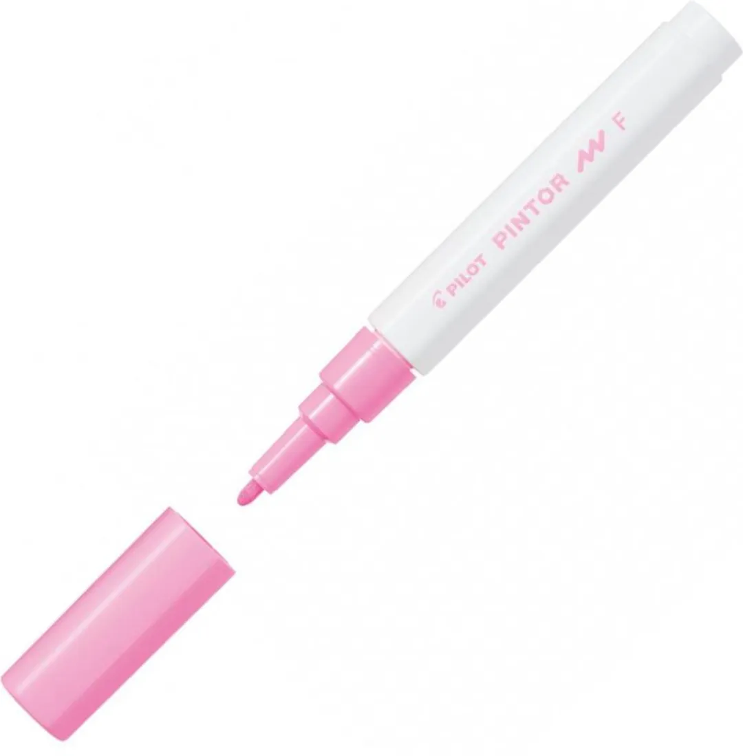 Pilot Pintor Roze Verfstift 1,0mm