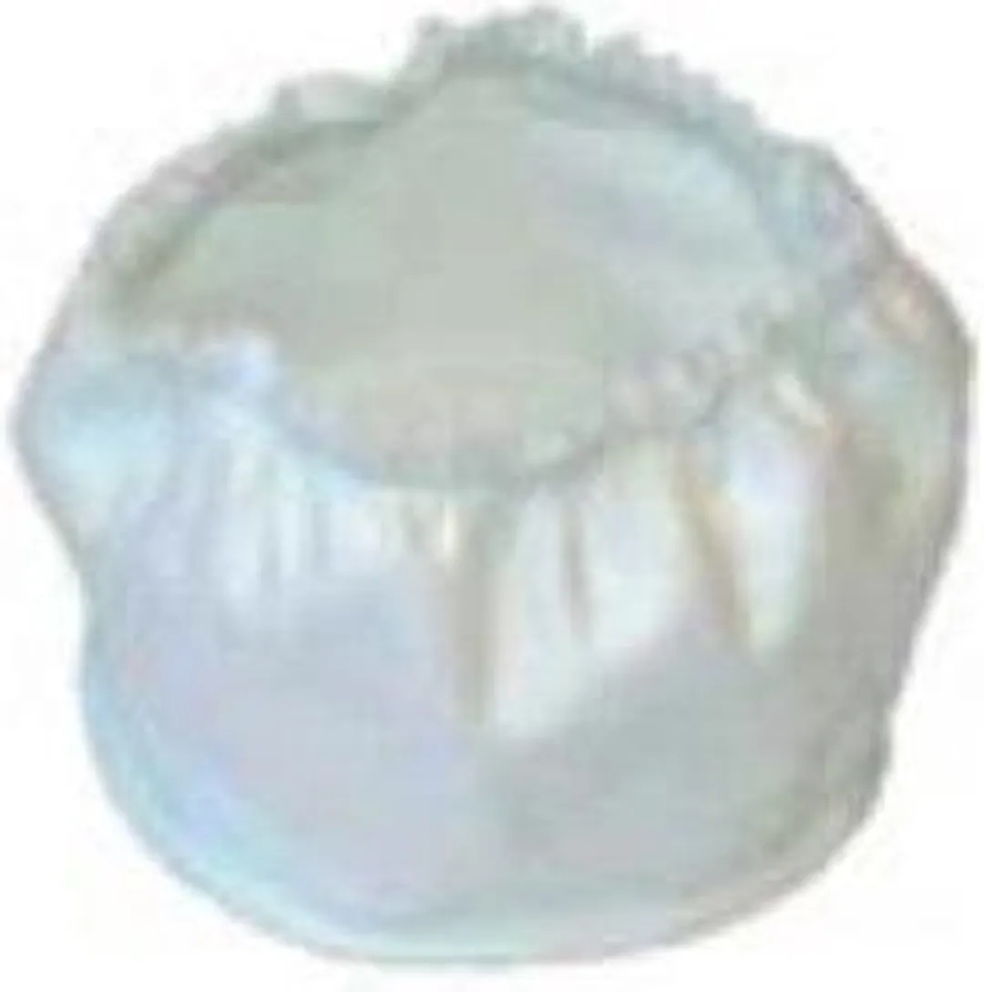 Nilfisk Motorbeschermingsfilter GS/GM 80/90 11730410