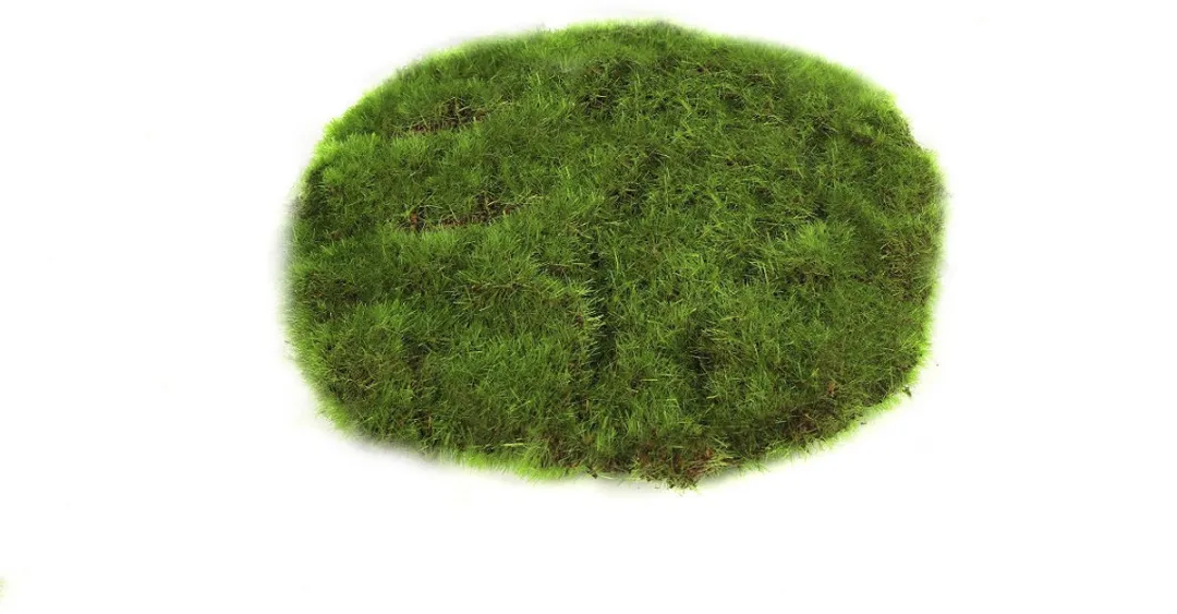Countryfield Moschijf Educatief Speelgoed 14x14x2cm