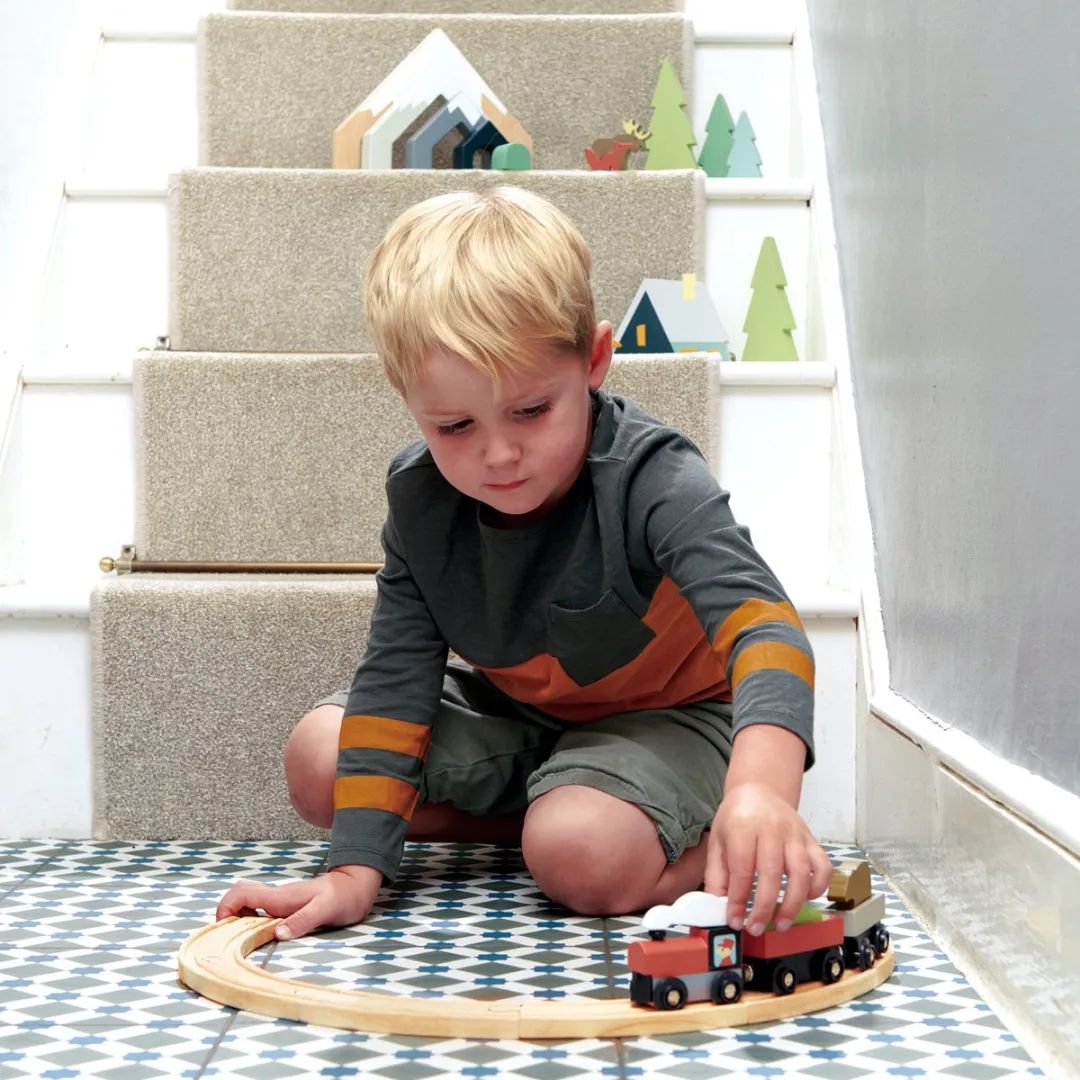Tender Leaf Toys Tree Tops Treinenset - Multi
