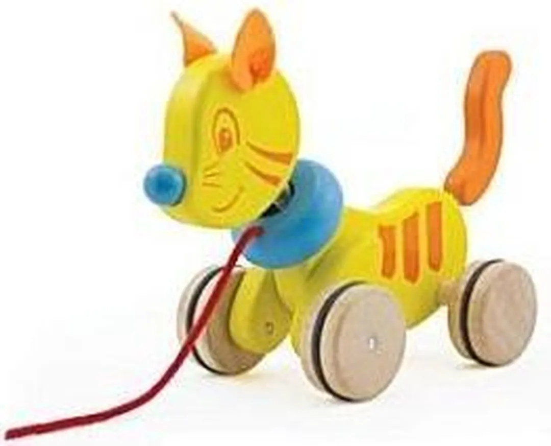 Pintoy Trekfiguur Kat - Meerdere Kleuren