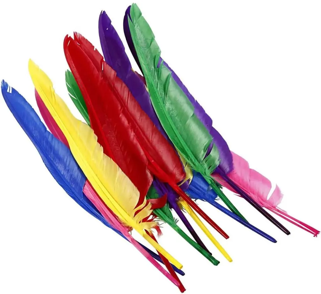 Creativ Company Gekleurde Veren 27cm - 12 Stuks