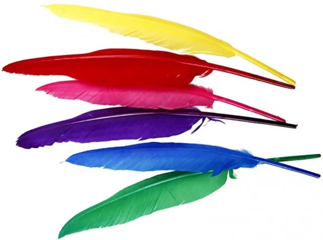 Creativ Company Gekleurde Veren 27cm - 12 Stuks
