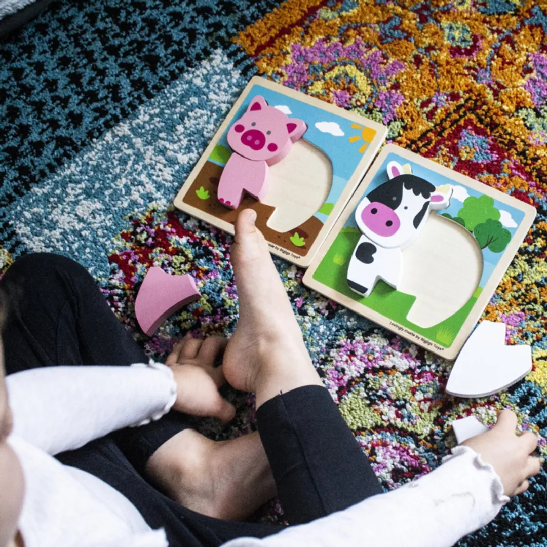 BIGJIGS Houten Puzzel Varken Multicolor