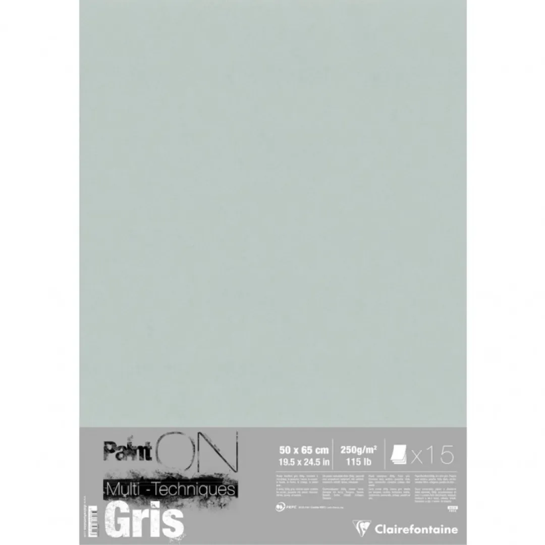 Clairefontaine Paint On Tekenpapier 50x60cm 250g - 15 Vel Grijs