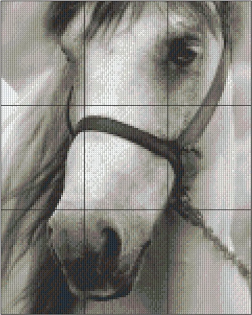 Pixelhobby Wit Paard DST3095908