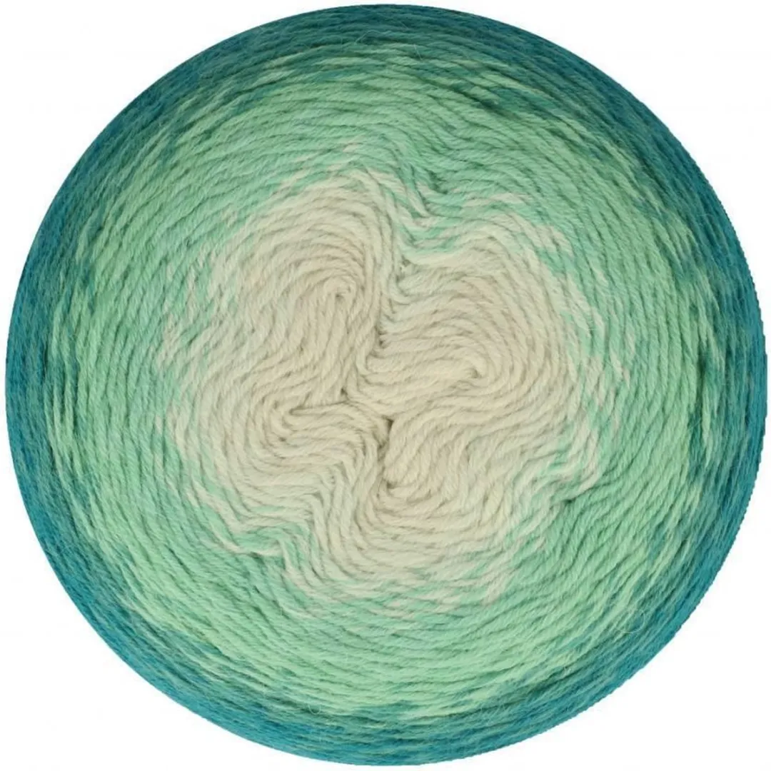 Scheepjes Whirligig 450g