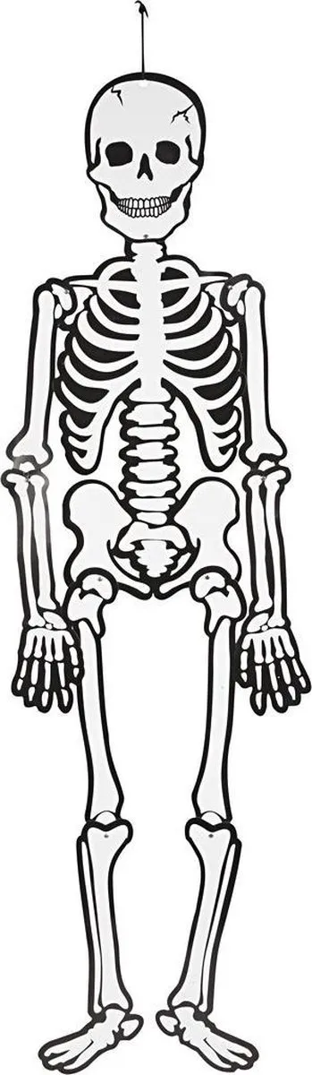 Creativ Company Creotime Skelet Glow-in-the-dark 120cm Karton