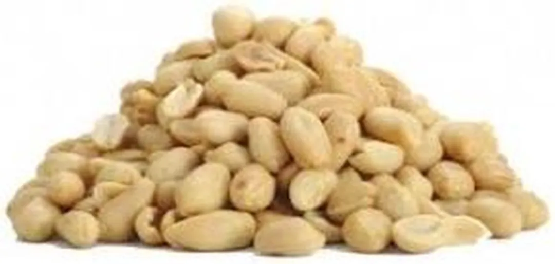 Topdiervoeding Gepelde Witte Pinda's 20kg - 4 Stuks