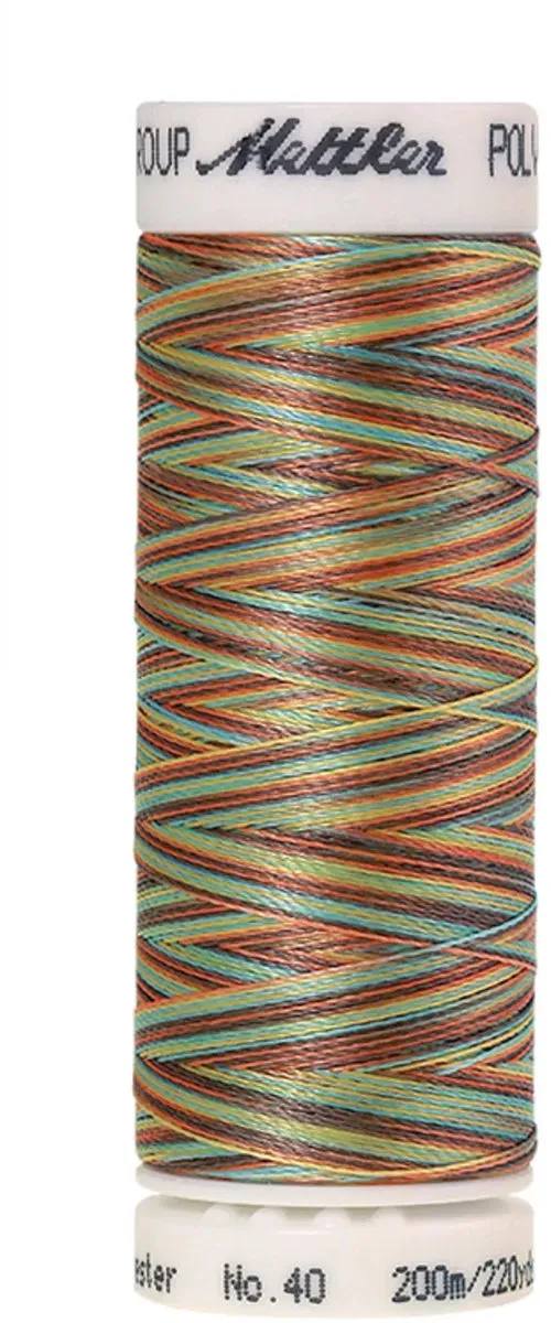 Amann Mettler Poly Multi Borduurgaren 9974 - 200m - Multicolor
