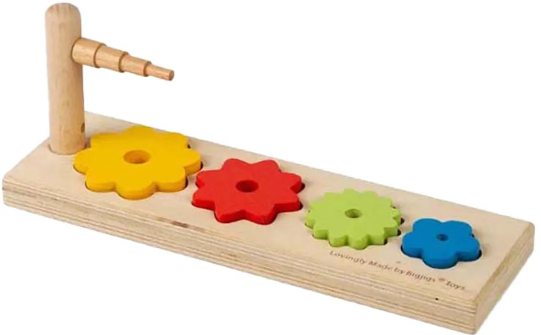 BIGJIGS Bloemensorteerder 5-delig - Multi kleuren