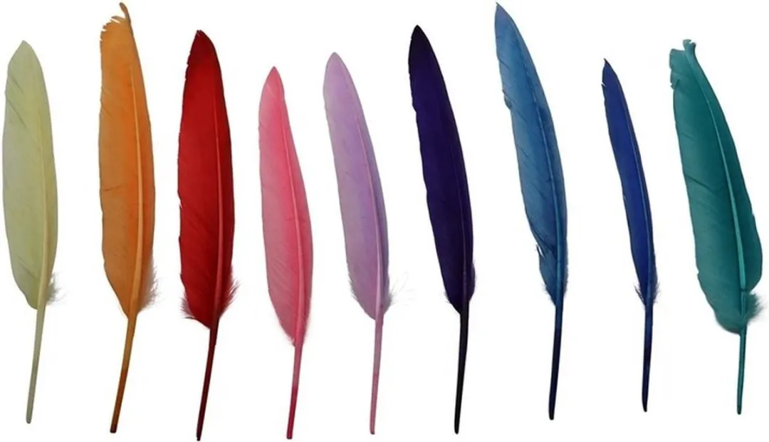 Glorex Hobby Decoratie Veren