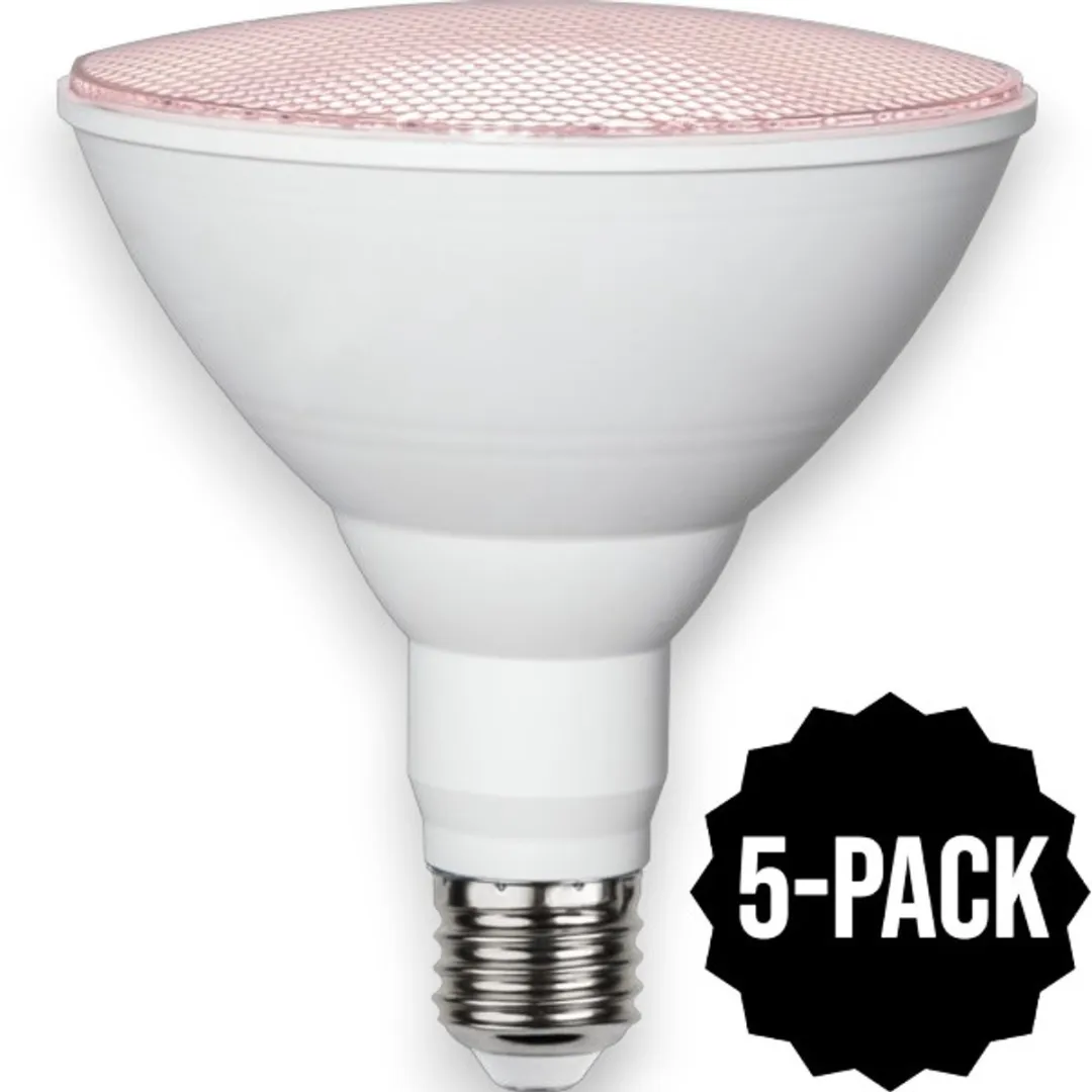 Star Trading Reflectorlamp Rood 16W - 5 Stuks