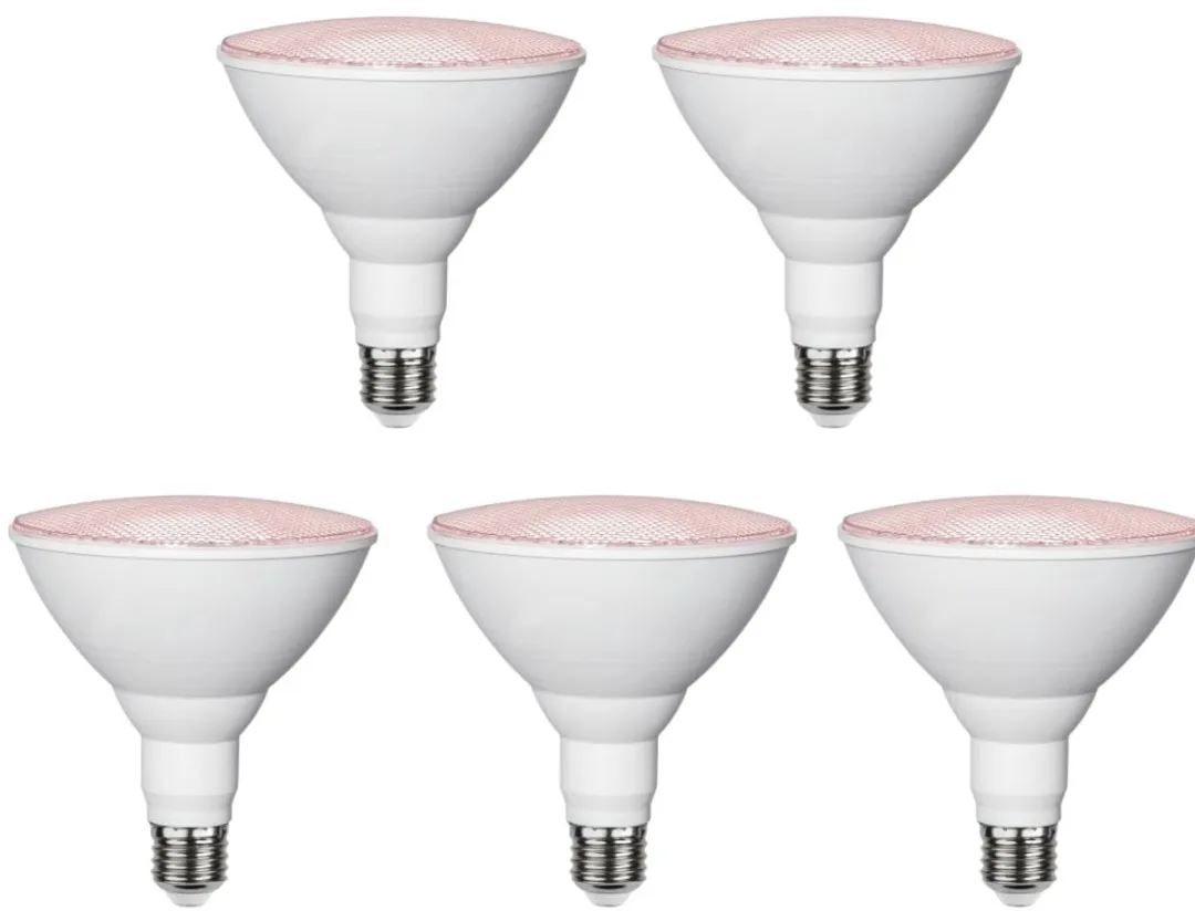 Star Trading Reflectorlamp Rood 16W - 5 Stuks
