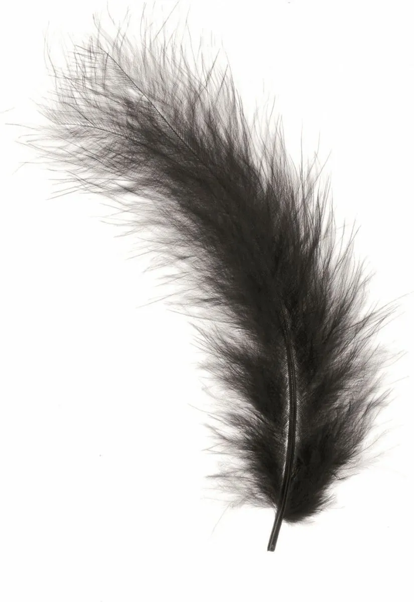 Glorex Hobby Knutsel Veren 30 Stuks - Zwart - 16cm