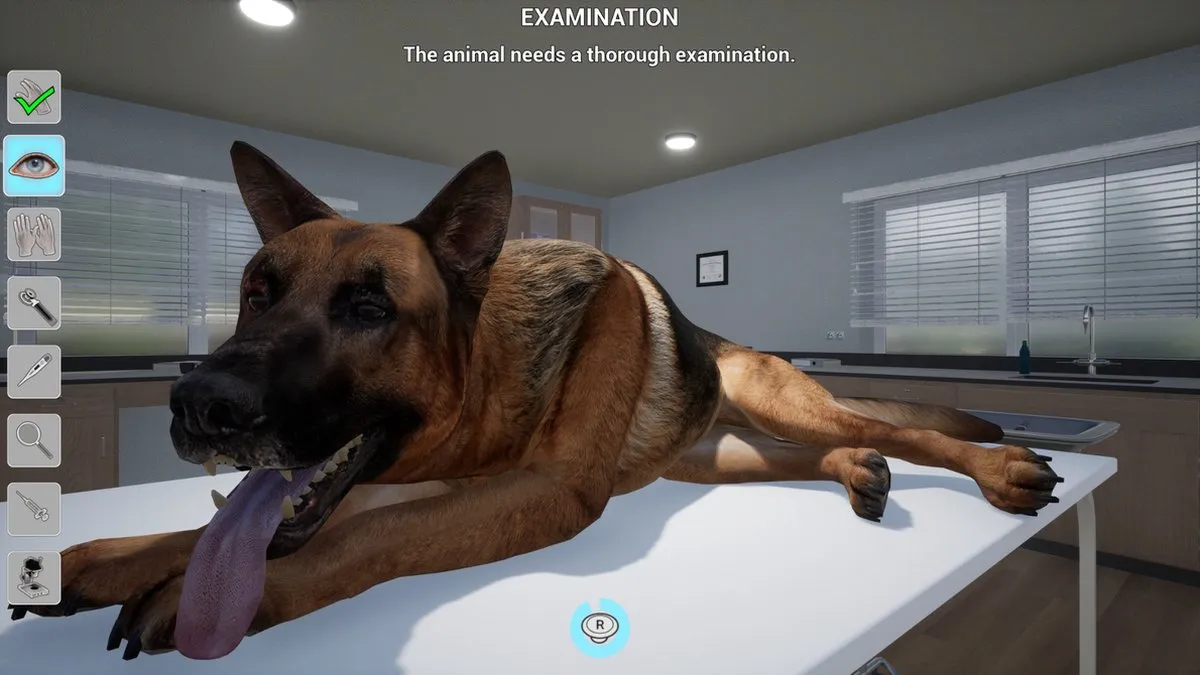 Mindscape My Life Farm Vet - PS5