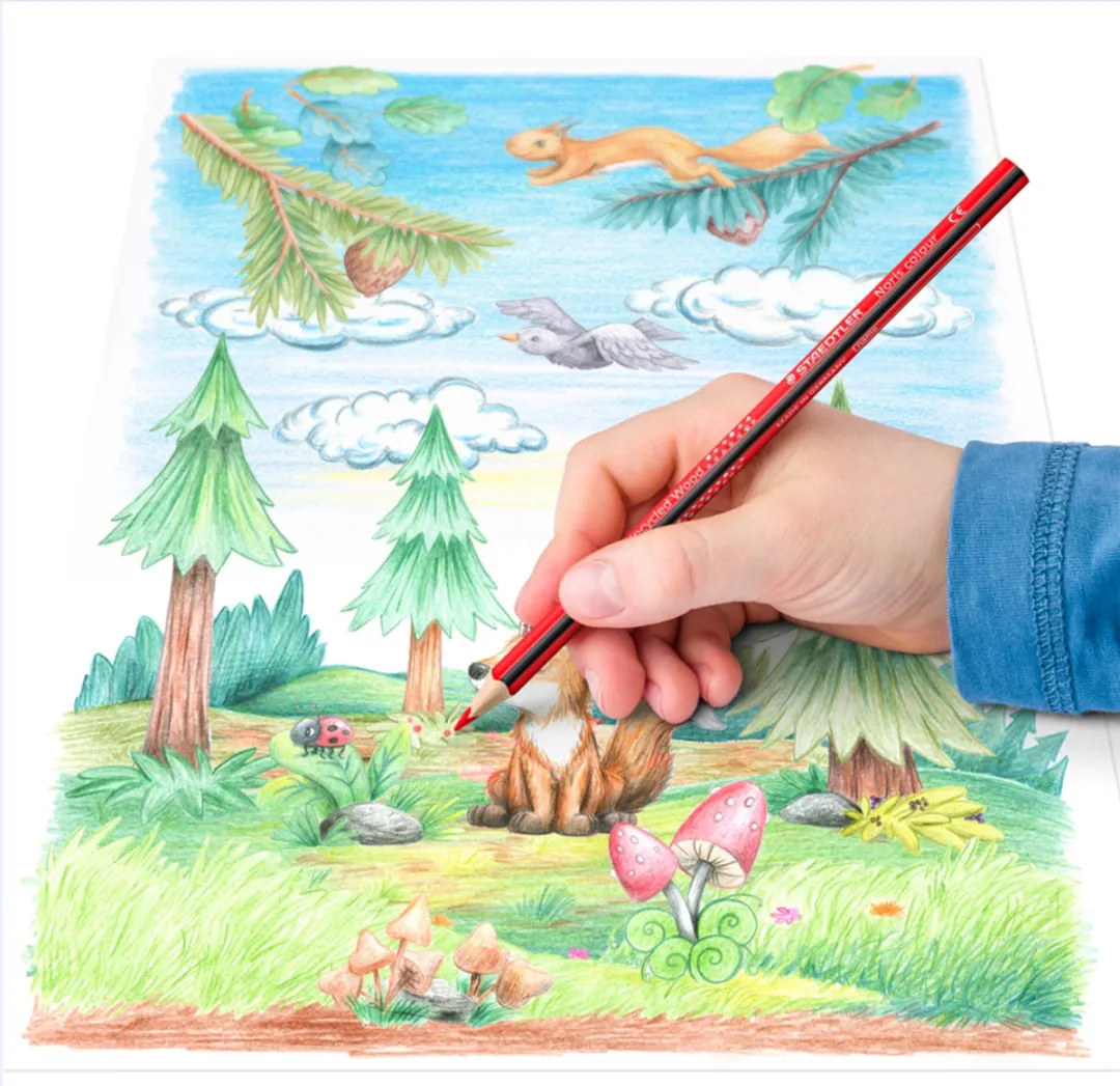 STAEDTLER Noris Kleurkrijt Driehoekig