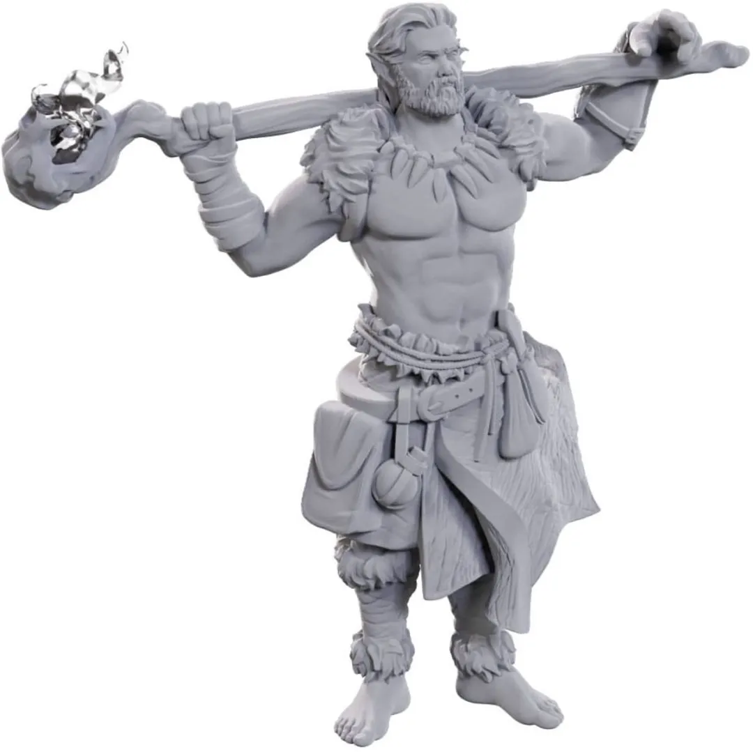Wizkids D&D Nolzur's Archdruid & Martial Art Adept Miniaturen - Grijs