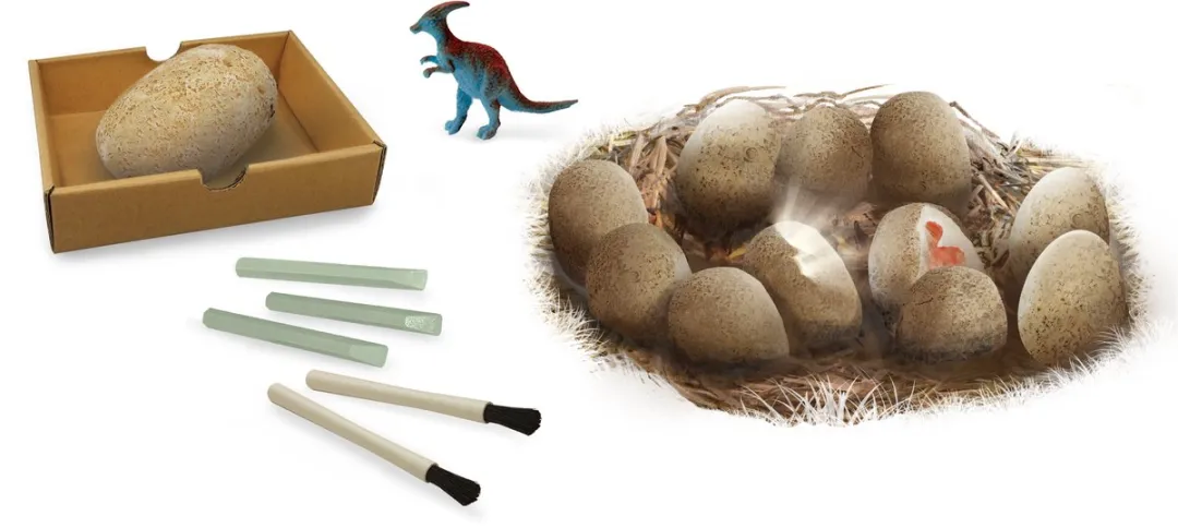 Buki France Dino Eieren Maxi Uitgraafset - 12 Stukken - Meerkleurig - afbeelding 6 van 6
