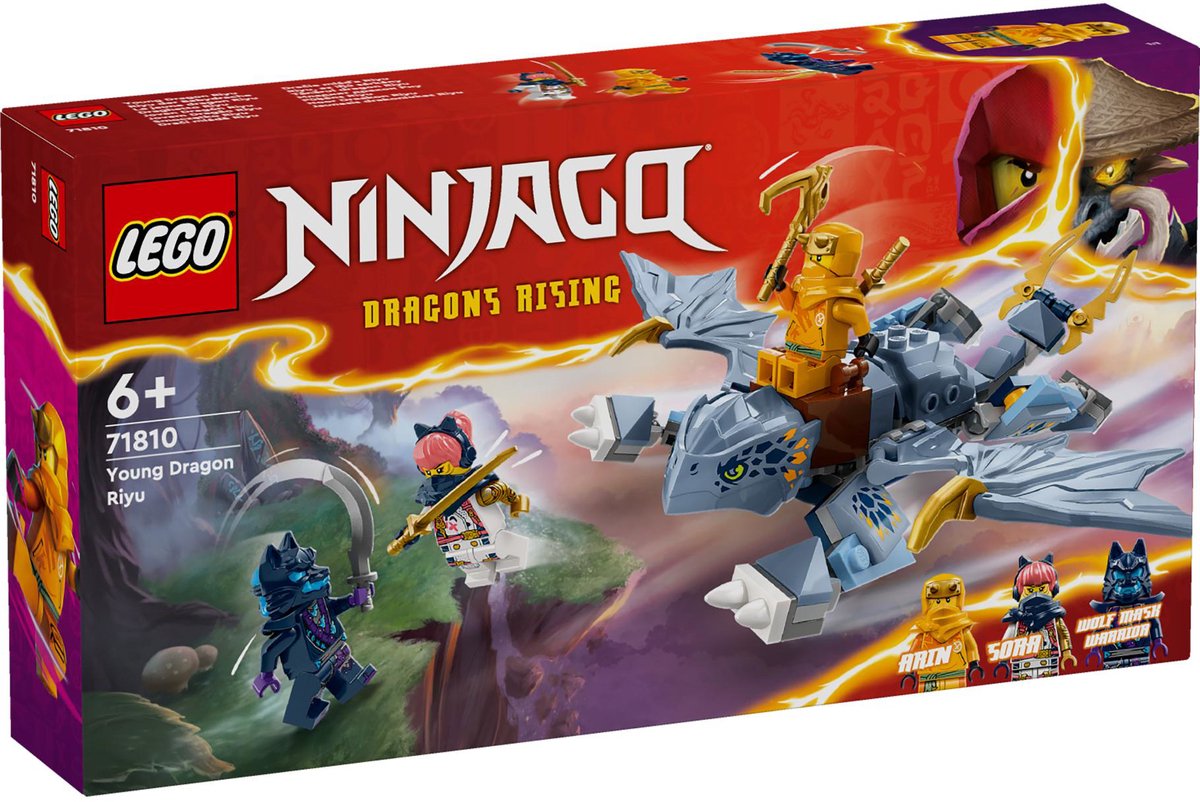 LEGO Ninjago Jonge draak Riyu - 71810
