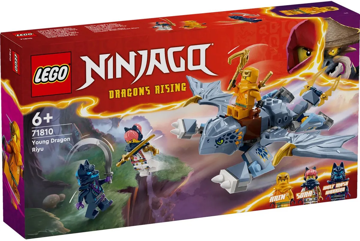 LEGO Ninjago Jonge Draak Riyu 71810